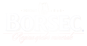 borsec